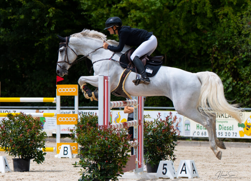 Illingen Springturnier 2025 - Turnierfotograf Saarland