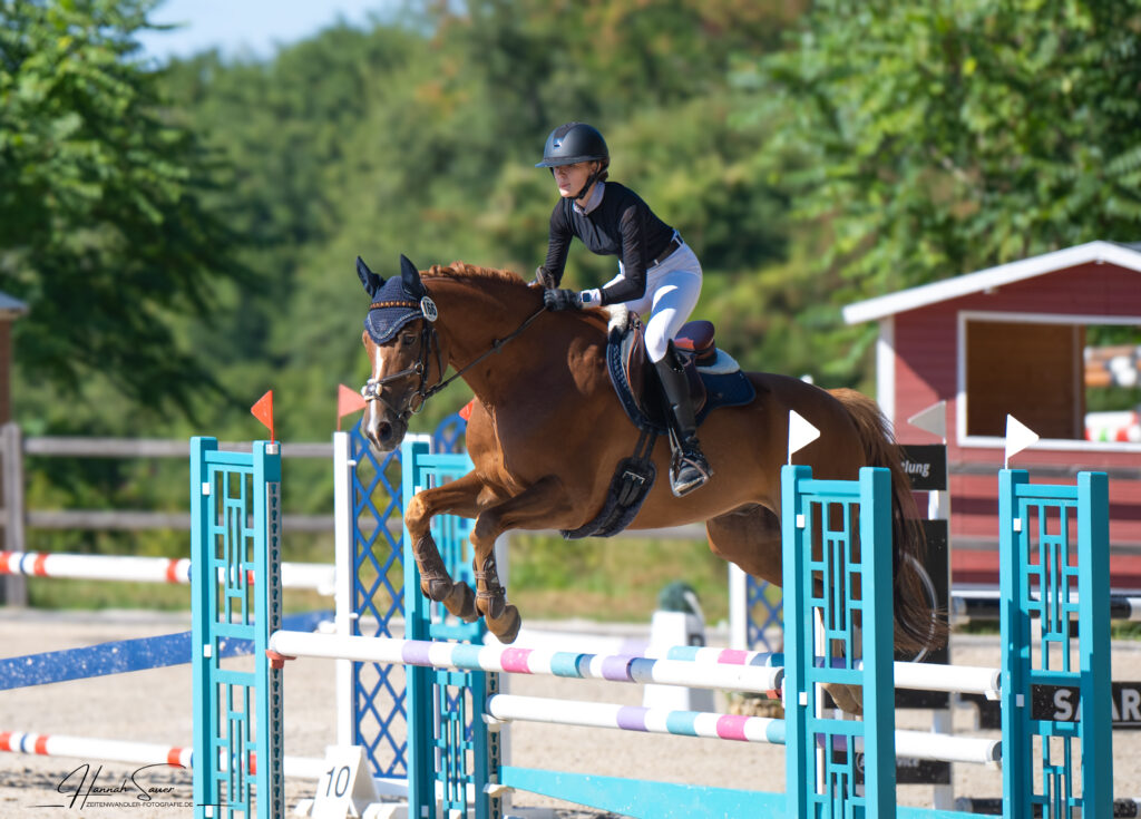 Springturnier Bübinger Hof August 2025