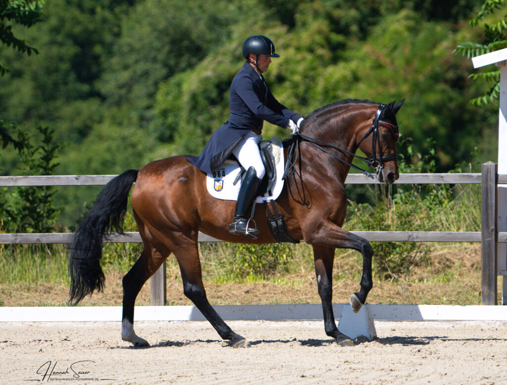 Dressurturnier Bübinger Hof 2025 - Pferdefotograf Saarland