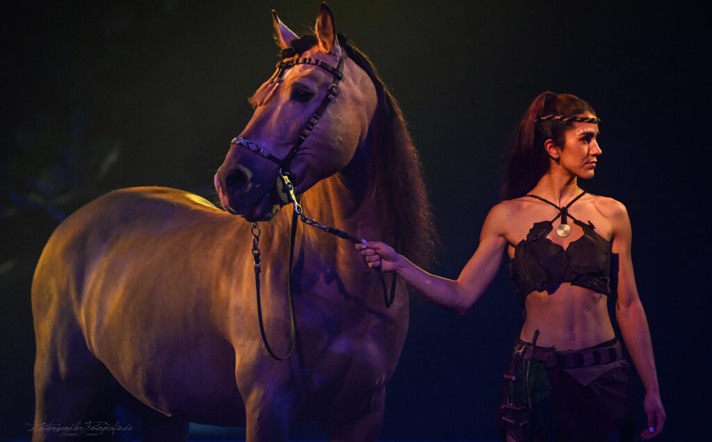 Pferdefotografie Saarland - Legende der Wüste