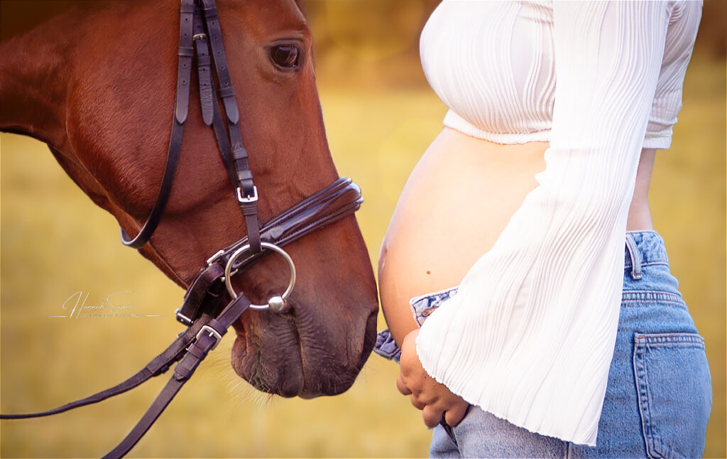 Babybauchshooting mit Sarah und Stute Cobie