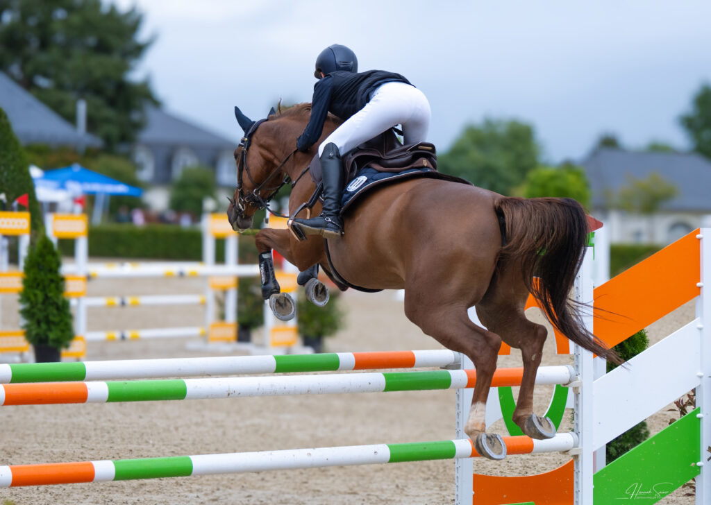 Springturnier Gestüt Welvert 2025 - St. Wendel Saarland