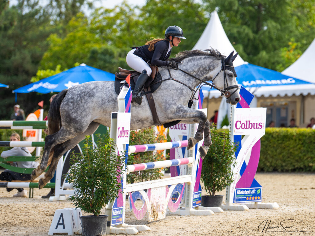 Springturnier Gestüt Welvert 2025