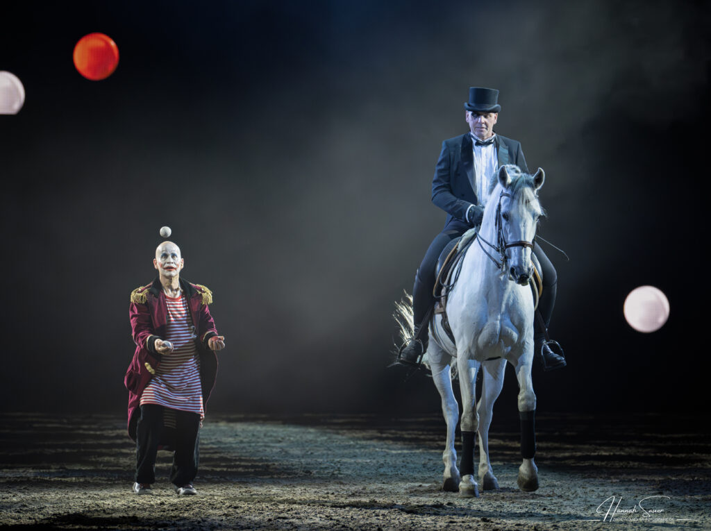 Pferdefotogafie Saarland - Cavalluna